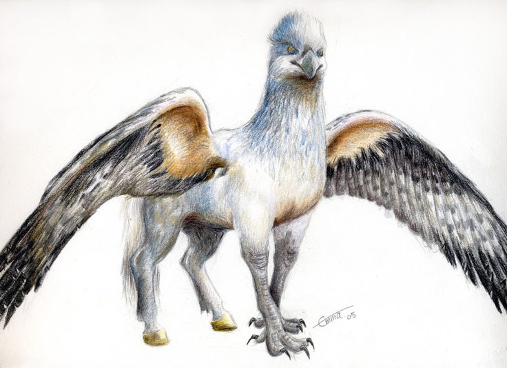 Hippogriff Drawing in white with brown and black detail